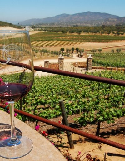 Tour the Wine Route